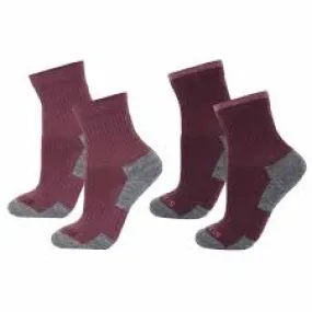 Janus Terry Wool Sock Combo 2-pack: Plum / Grey